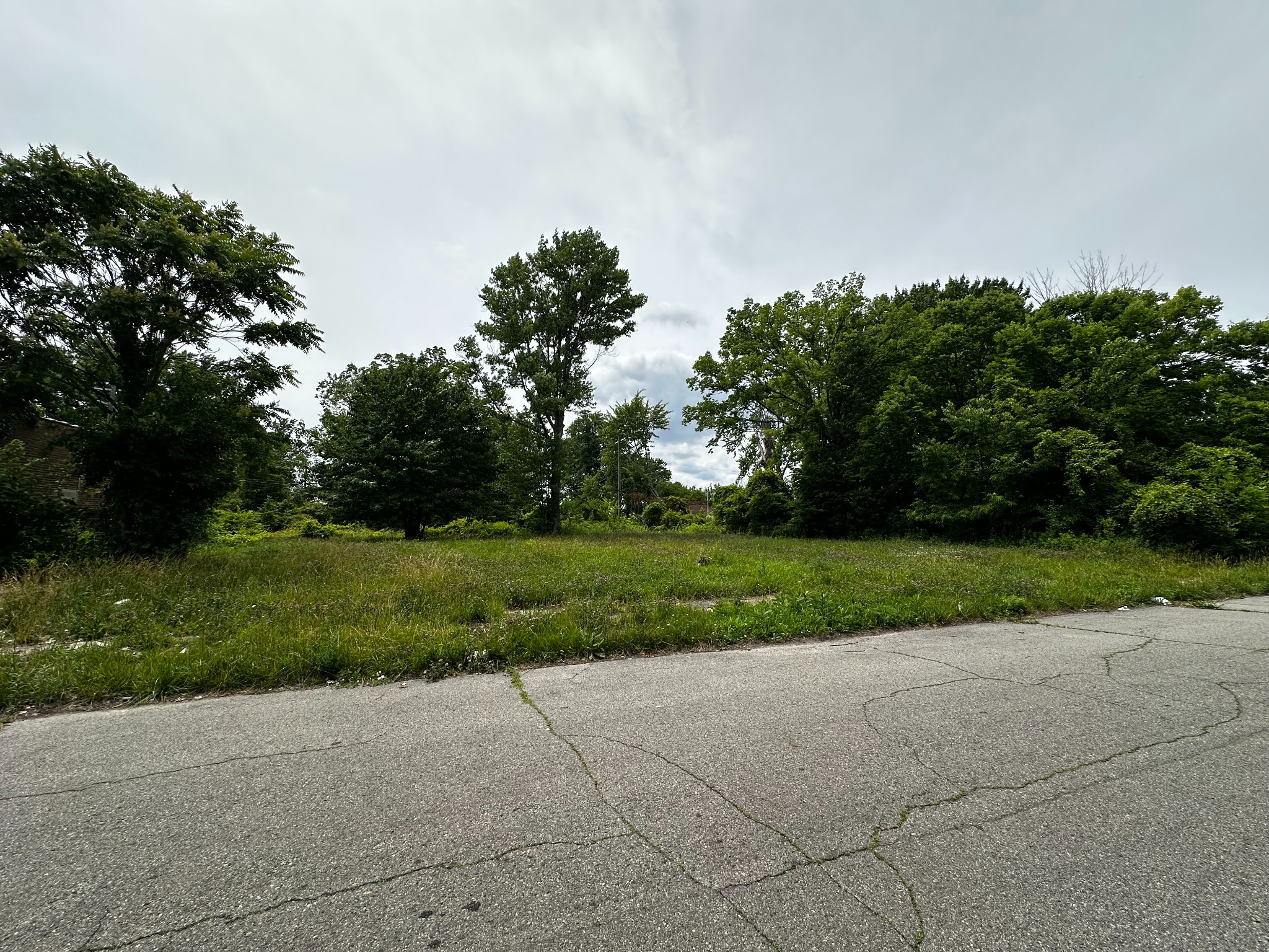 Open green vacant lot bordered by trees
